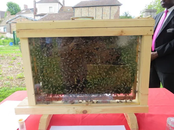 Exposition d’Apiculture