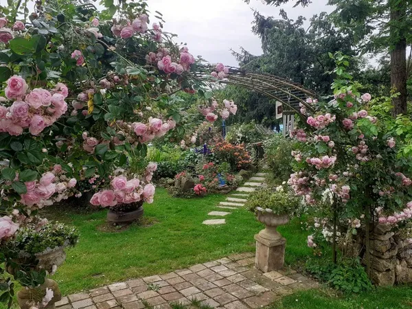 Découverte d'un jardin à l'ambiance bucolique et tout en couleurs