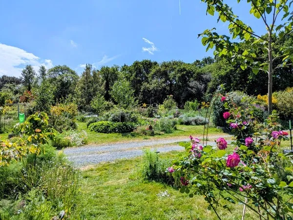 Ô Jardin naturaliste : entre spontanées et horticoles, une jolie biodiversité ! Viens chercher la petite bête !