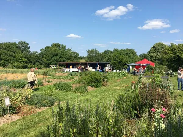 Marché artisanal et de producteurs - Visite découverte du jardin pédagogique de plantes médicinales et aromatiques