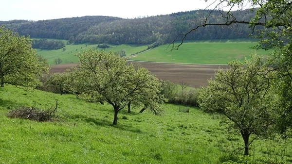 Sur la ligne d'horizon