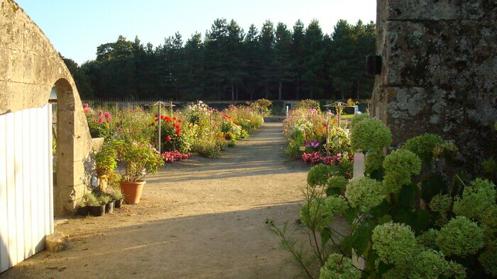 Découverte du parc et des jardins du château de Tournelay