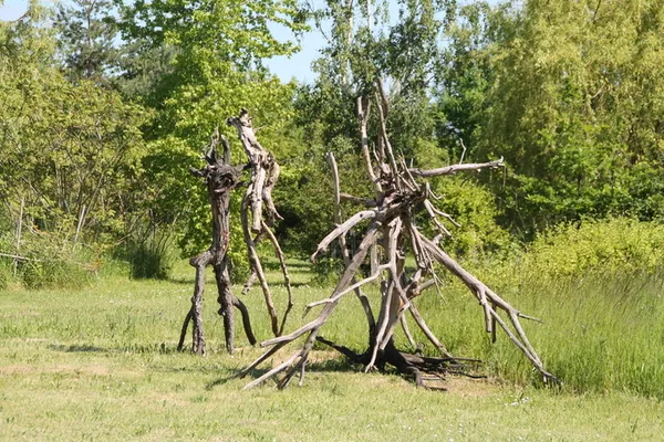 De la nature à l'art