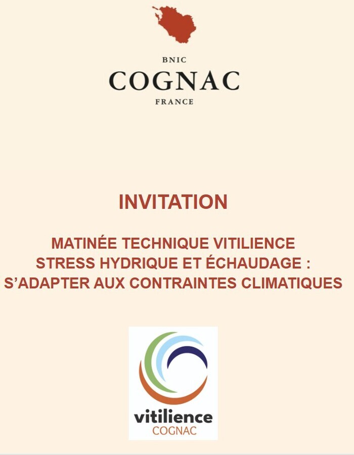 MATINÉE TECHNIQUE VITILIENCE
STRESS HYDRIQUE ET ÉCHAUDAGE : S’ADAPTER AUX CONTRAINTES CLIMATIQUES