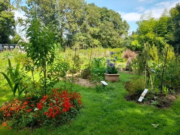 A la découverte des petites bêtes du jardin