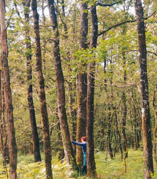 Bain de forêt aux Gayeulles !