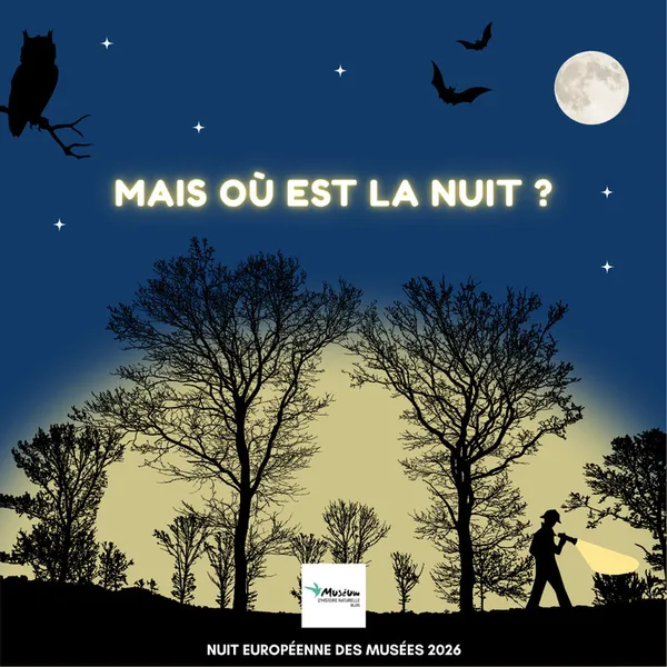 Mais où est la nuit ?