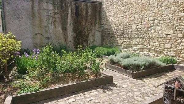 Visite commentée de l'exposition et des jardins médicinaux de Loudun