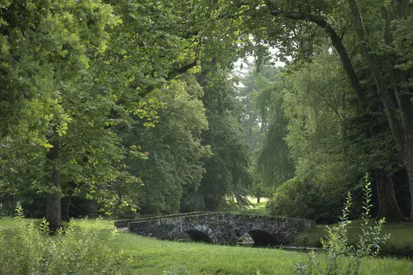 Visite libre des jardins