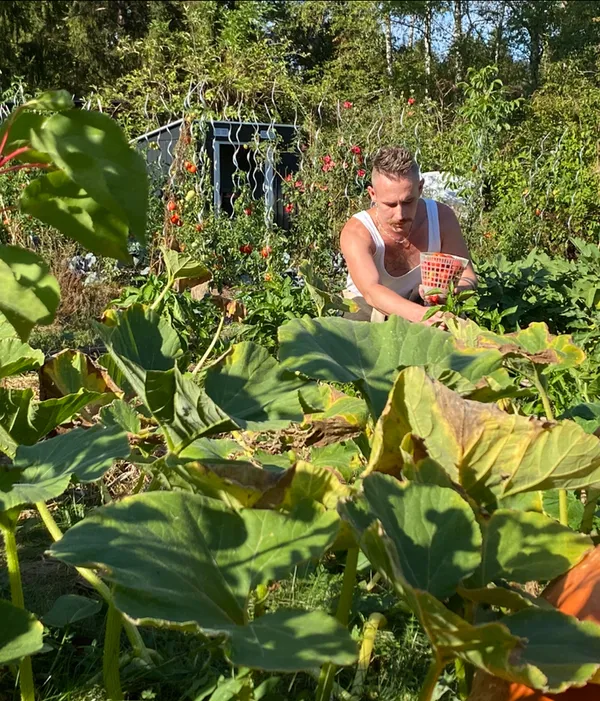 Balade dans "Le coin vert de Stéphane"