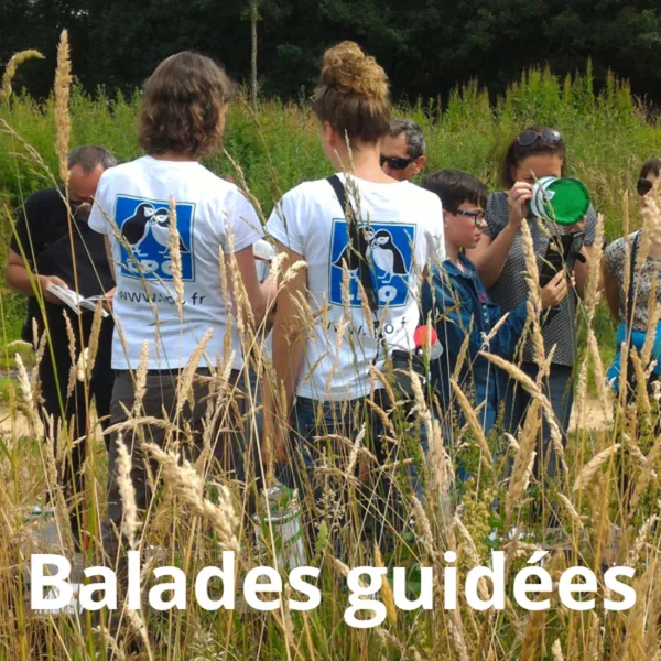Balade avec la LPO