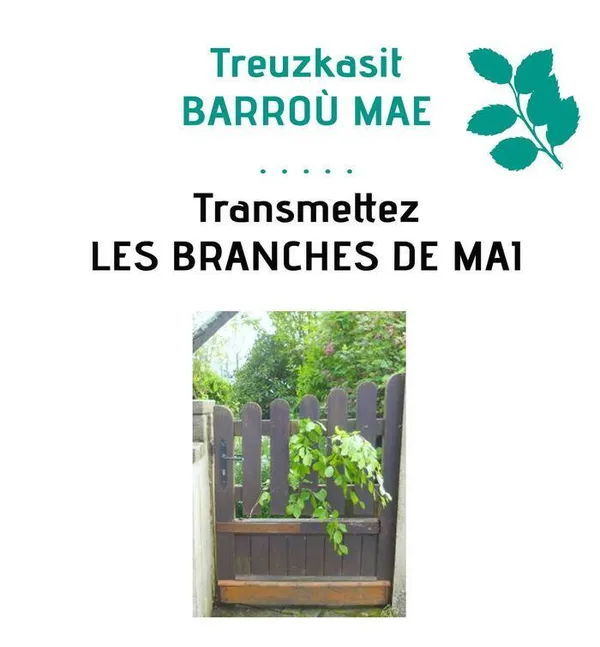 Transmettez les branches de mai