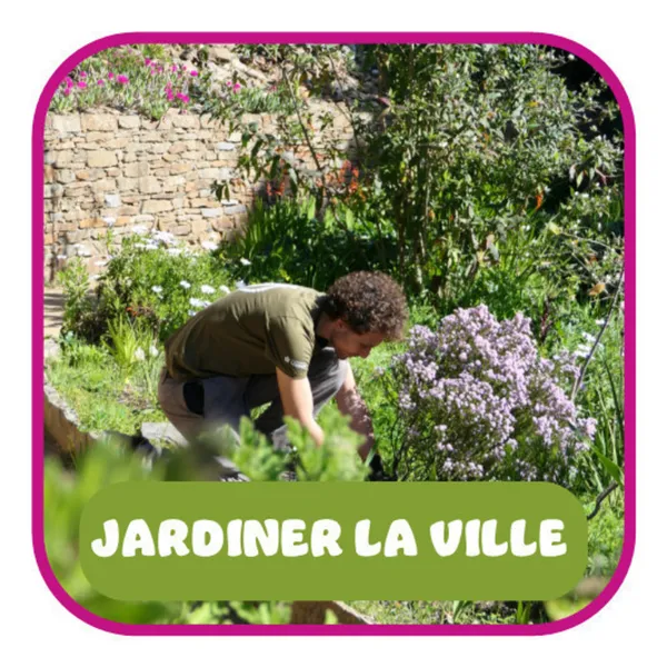 La méditerranée en odeurs