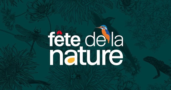 SAINT-VAAST-LA-HOUGUE/50 : fête de la nature à Tatihou