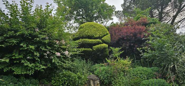 Découverte du Jardin Chez Mary