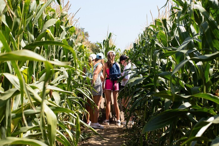 Mission Carv'impossible, au coeur du Labyrinthe de Carvin !