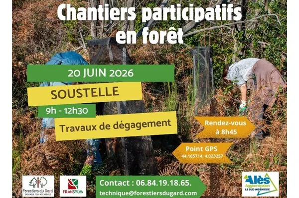 Les chantiers participatifs en forêt font leur grand retour !