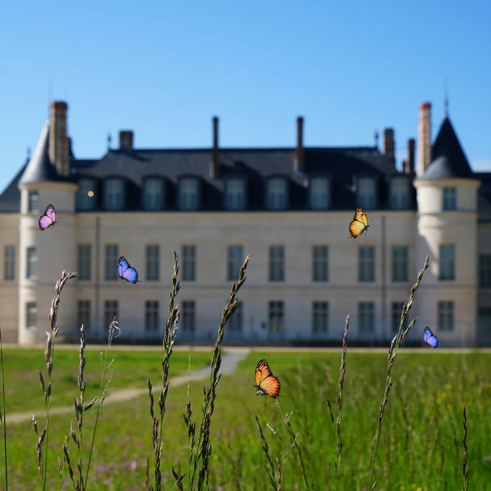 Les petites bêtes de la Cité
