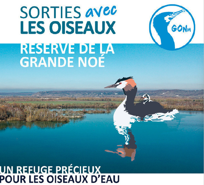 VAL de REUIL 27 : Animation ornithologique du GONm