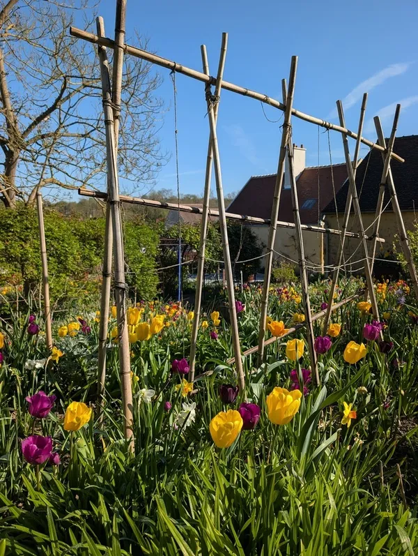 La chasse aux fleurs