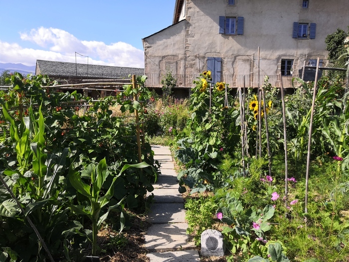 Visite découverte du jardin du Musée de Cerdagne.