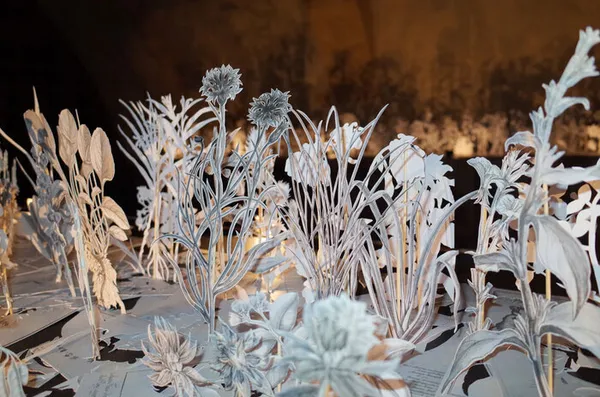 Jardin de papier