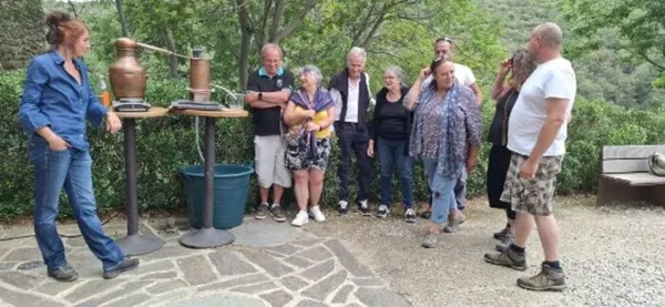Atelier de distillation de plantes aromatiques