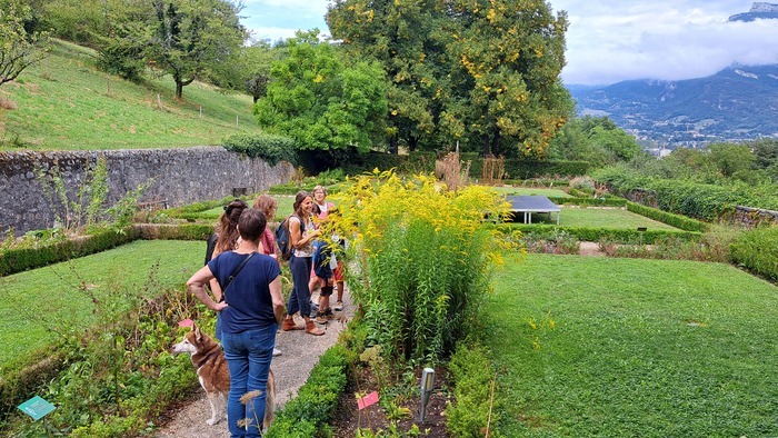 Balade botanique et breuvage sauvage