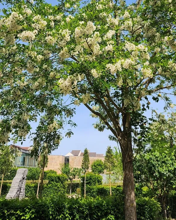 Visite guidée du Parc de sculptures avec Ludovic Bailly, le jardinier