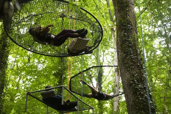 COLLECTIFS BRANE PROJECT ET IDEE HAUT : CHRYSALIDES