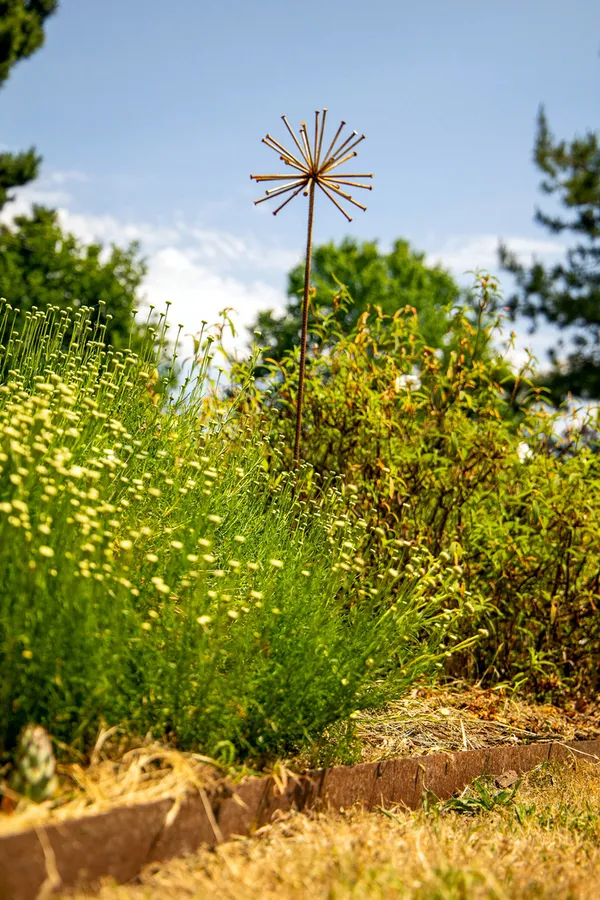 Visite des Jardins de La Bruyère