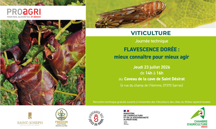 Réunion technique – Flavescence dorée : réglementation et moyens de lutte
