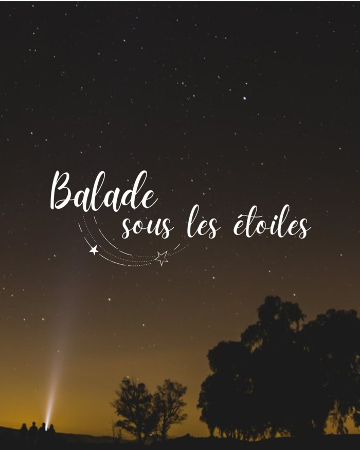 Balade sous les étoiles au Domaine Plaisance Penavayre