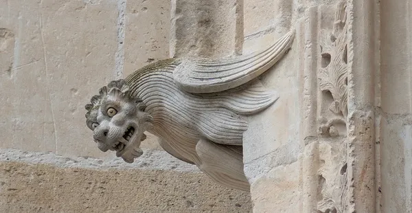 Visite guidée: la cathédrale et ses sculpture cachées