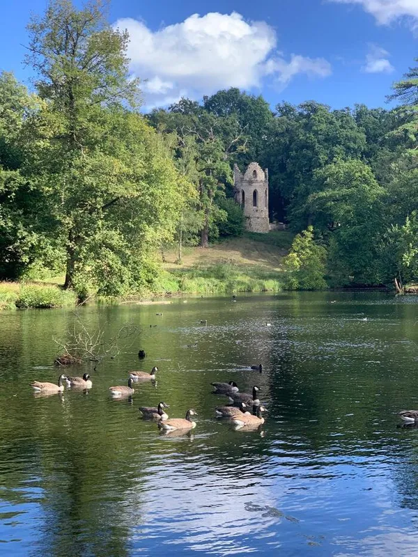 Visite libre du parc