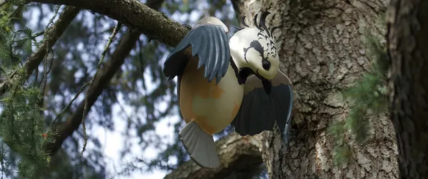 Exposition "L'hiver aux Oiseaux" de Julien Salaud