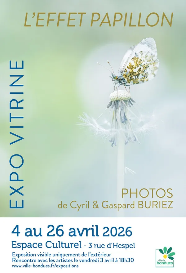L'effet Papillon