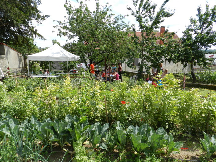 Découverte du jardin partagé