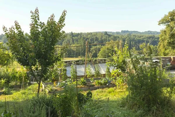 Imiter la forêt au jardin avec le jardin-forêt