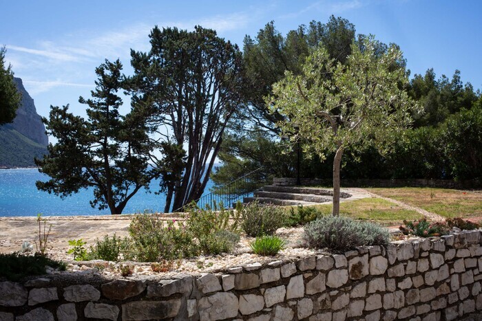 Visite découverte du jardin méditerranéen