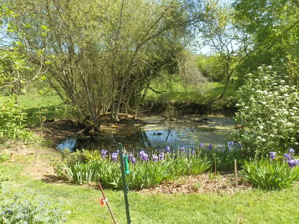 Visite commentée du Jardin de Las Muraillès