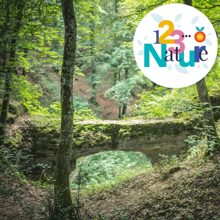 Stage photo - En forêt