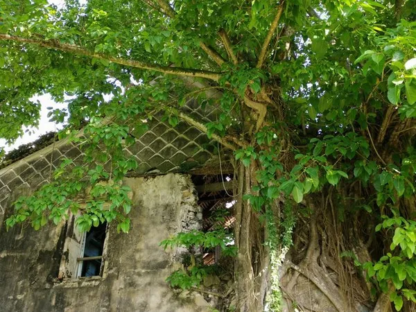 VISITE COMMENTÉE DE L'HABITATION DUFFERET