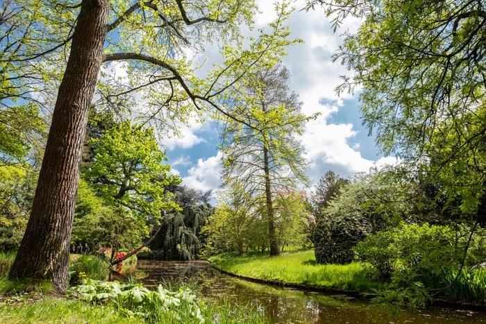« Les vues et perspectives de l’Arboretum de la Vallée-aux-Loups », visite guidée