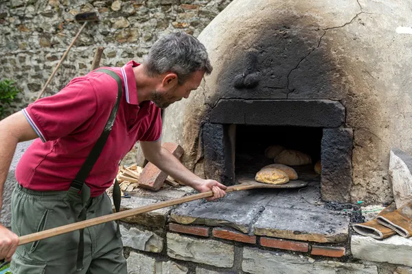 le cycle des moissons