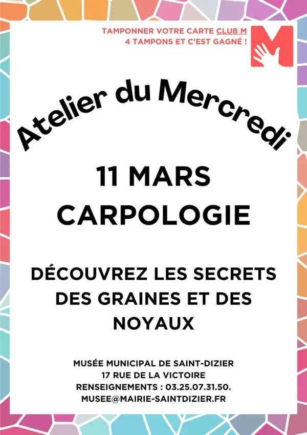 Atelier du Mercredi : carpologie.