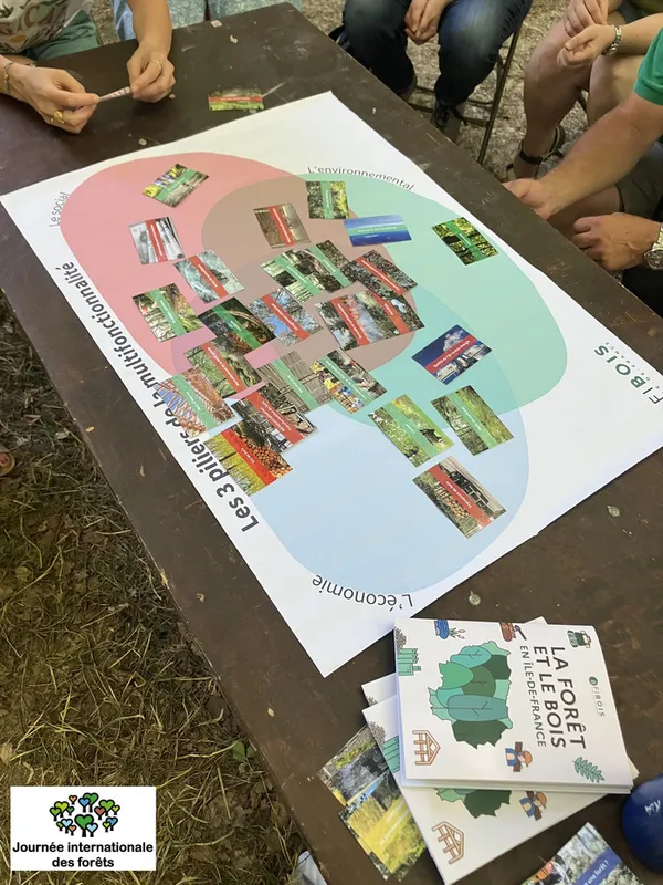 Fresque de la forêt et du bois d'Île-de-France avec Fibois Île-de-France