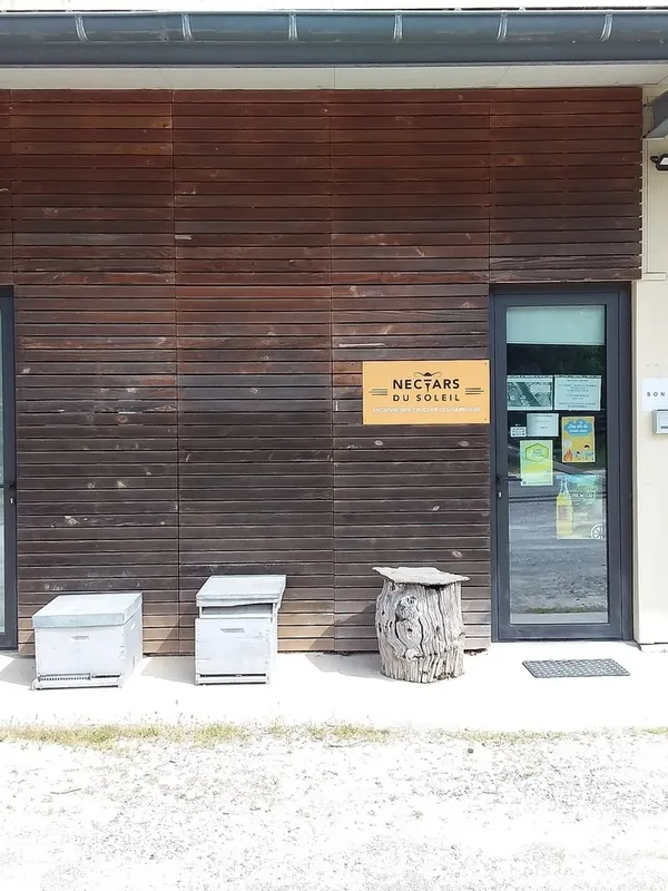 Découvrez la vie des abeilles en vous amusant