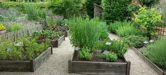 Visite découverte du Jardin de Jeanne