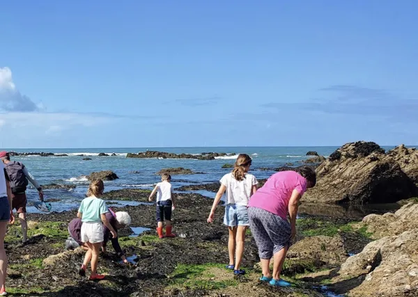 La vie à marée basse à Piriac-sur-Mer